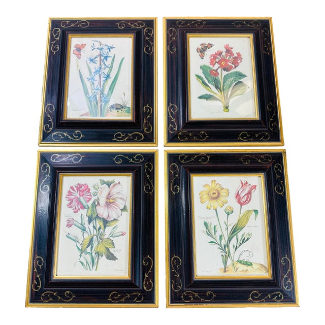 Vintage Chelsea House Prints, Set of 4 For Sale