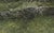 Near Galway by Jim Beckner | Oil on Canvas Landscape with trees and rolling hills For Sale - Image 4 of 5
