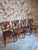 Antique French Bistro Chairs from Thonet, 1920, Set of 4 For Sale - Image 16 of 18