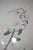 Pair of Large Floral Botanical German Color Engravings For Sale - Image 11 of 16