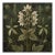 18" X 18" Original Botanical Fine Art Print - Dark Green Grisaille For Sale