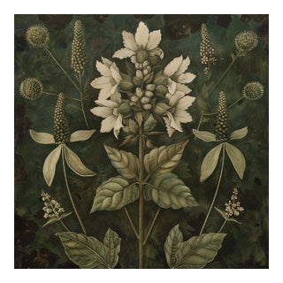 Dark Green Botanical Study No. 3 - Vintage Herbarium Style Fine Art Print For Sale