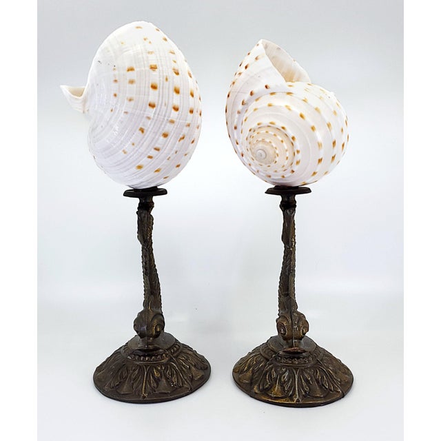 Metal Sculpture Pair Seashells Shells & Antique Koi For Sale - Image 7 of 14