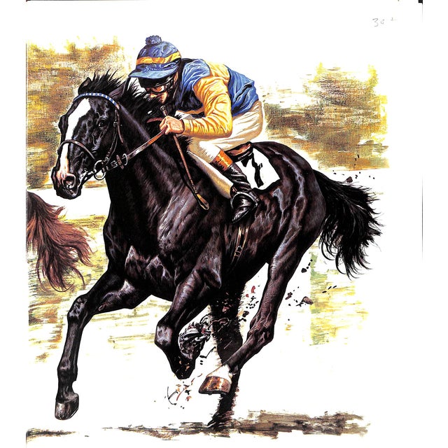"Champion Horses" 1983 Bongianni, Maurizio For Sale - Image 11 of 12