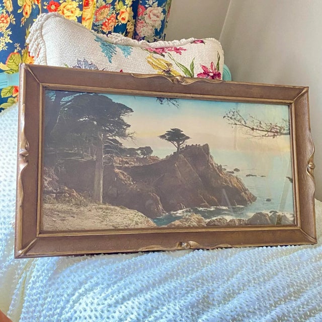 Vintage 1920s Hand Colored Photograph of the Lone Cypress in Monterey, California For Sale - Image 11 of 12