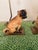 Ceramic Pair Meissen Porcelain Pug Dogs & One With Child For Sale - Image 7 of 11
