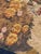 Antique French Silk Beauvais Tapestry by Georges Leroux, 1930s For Sale - Image 15 of 18