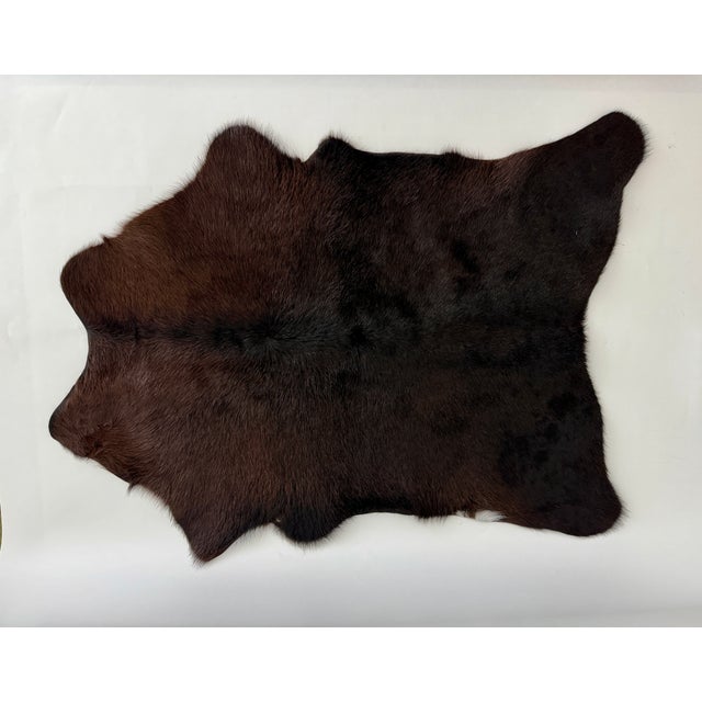 Natural rich espresso color calf hide with beautiful glossy sheen. Small in scale but same hair on hide as a full size...