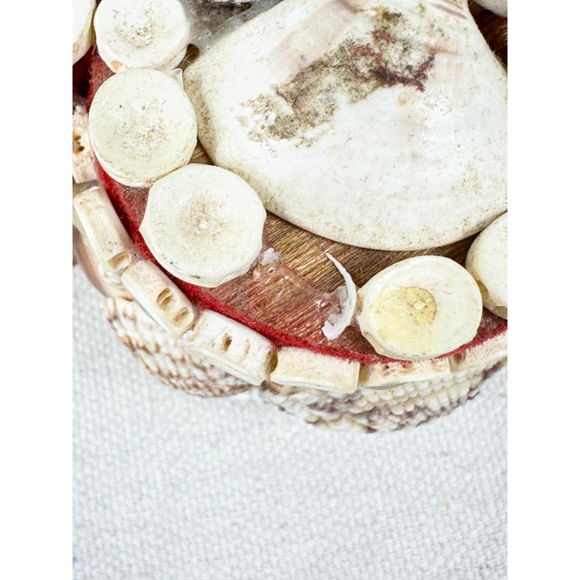 Mid 20th Century Vintage Seashell Jewelry Box For Sale - Image 5 of 9