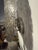 Metal Silver Sea Foam Coastal Electric Sconces - a Pair For Sale - Image 7 of 8