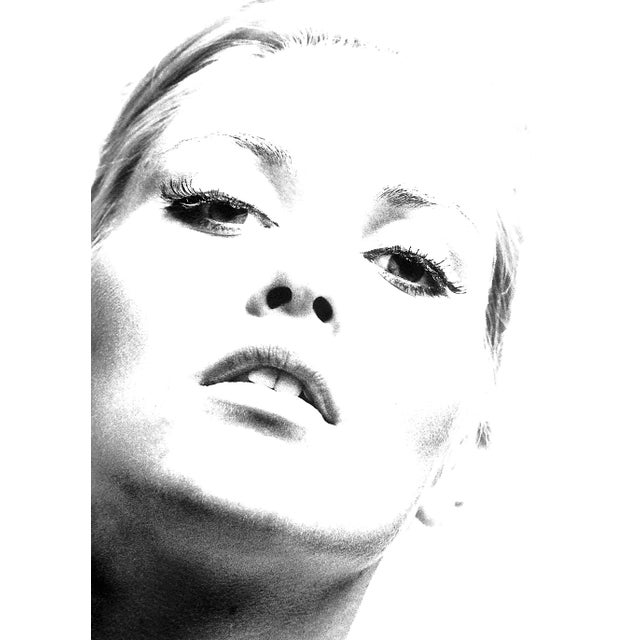 "Birds of Britain" 1967 Green, John D For Sale - Image 9 of 12