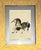 Late 20th Century Nasser Ovissi - Sea Horse, Artist’s Proof, Mixed Media on Paper For Sale - Image 4 of 10