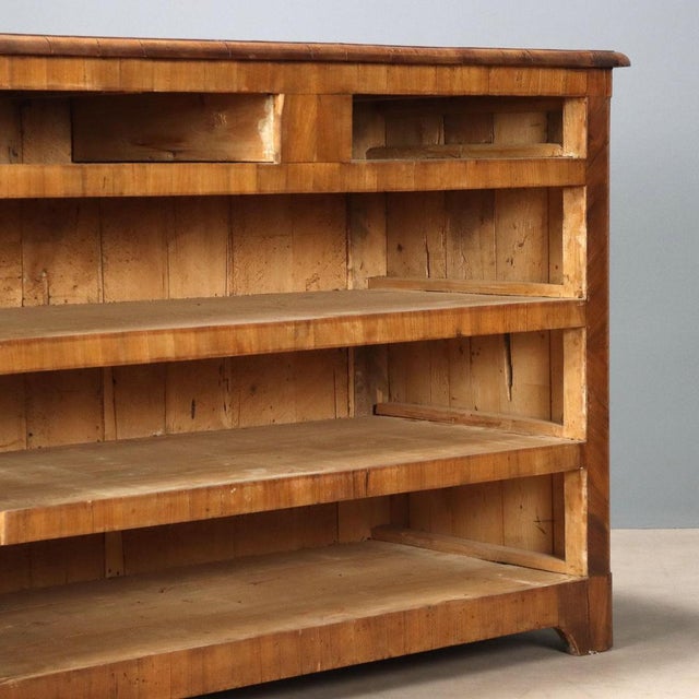 Brown Chest of Drawers in Walnut For Sale - Image 8 of 12