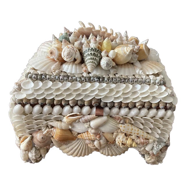 1970s Elegant Coastal Sea Shell Jewelry Treasure Box For Sale