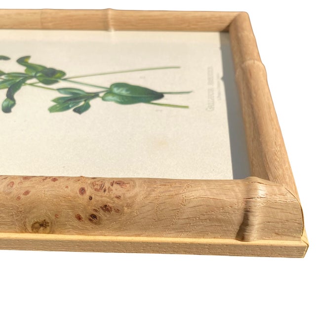 Framed Antique Chromolithographs Set of 7 From "Wild Flowers of America", Series II Volume Ii, L. Prang & Co., Boston (C. 1879) For Sale - Image 16 of 18