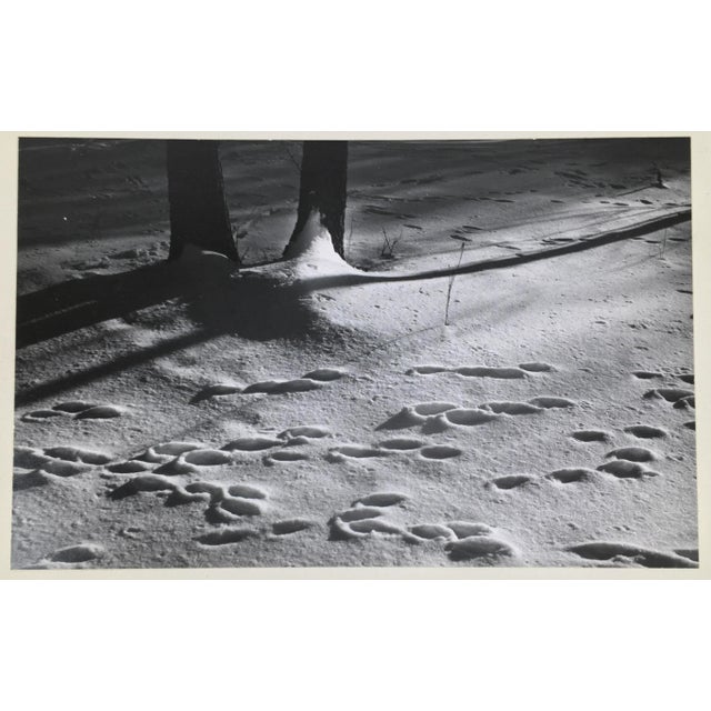 A poetic image of a simple subject, footprints in freshly fallen snow. Not signed but known to be the work of Dean W Hand....