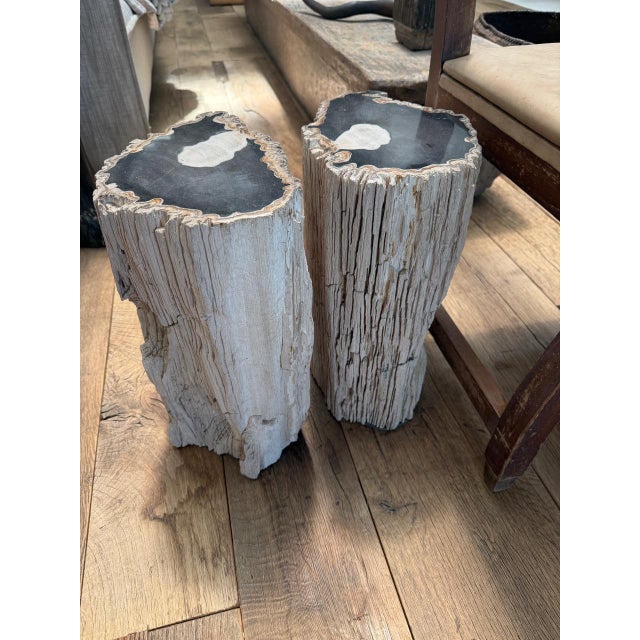 Andrianna Shamaris Abstract High Quality Petrified Wood Side Table For Sale - Image 4 of 18