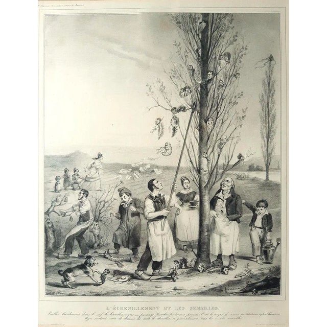 L’échénillement et les Sémaille - Original Lithograph by J.J. Grandville - 1833 1833 For Sale - Image 3 of 3