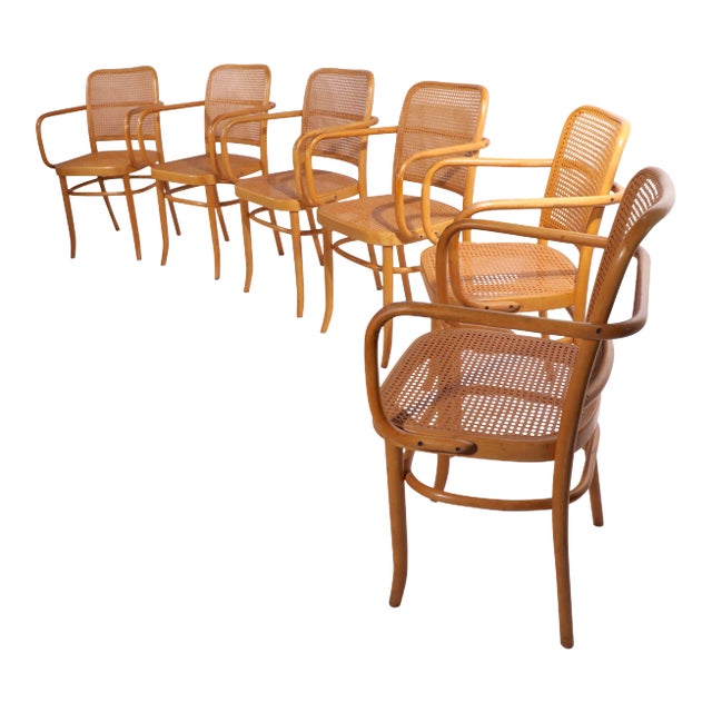 Bentwood Chairs by Hoffman for Stendig - Set of 6 For Sale