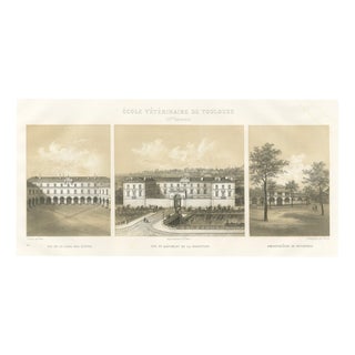 Deroy, Toulouse Veterinary School, Three Views, 1873, Paper For Sale