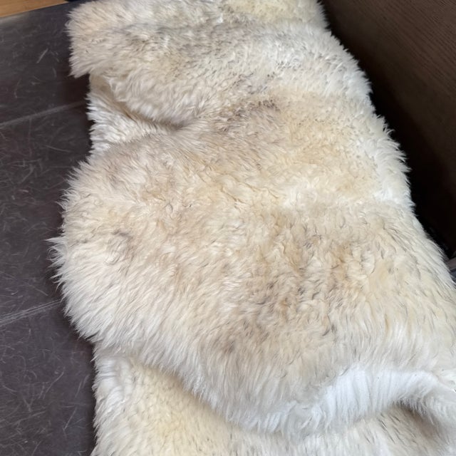 Interiors Genuine Sheepskin Rug For Sale - Image 12 of 12