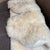 Interiors Genuine Sheepskin Rug For Sale - Image 12 of 12