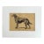 Antique 1890s Dog Print in 8 x 10 Mat: "The Irish Setter Geraldine II" For Sale