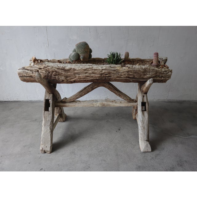 1960s Rustic Driftwood Trough Planter For Sale - Image 5 of 10