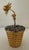Gold Gilt Sterling Potted Peony Flower Attributed to Janna Thomas for Tiffany & Co For Sale - Image 8 of 9