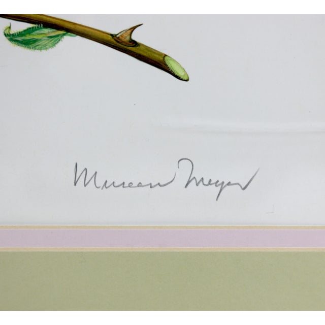 Vintage hand-painted plant specimen watercolor "Gold Medal" yellow rose (with frame). Signed in the lower right corner...