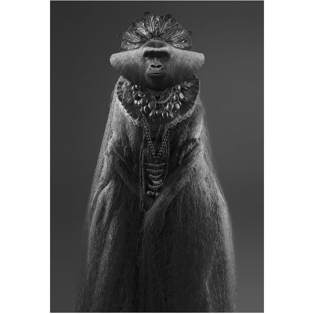 Beatriz Moreno, Ms. Gorilla, The Sentinels of Tellus Series, Photo Print For Sale - Image 7 of 7