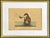 Mark Catesby Engraving, "The Pied-Billed Grebe", Framed For Sale - Image 9 of 9