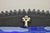 Early 21st Century Bill & Geraldine Nelson “Old Southwest” Black Sheep Painting Carved Wood Frame For Sale - Image 5 of 11