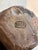 Contemporary Abstract Fungus Geodes by Lynn Basa For Sale - Image 4 of 4