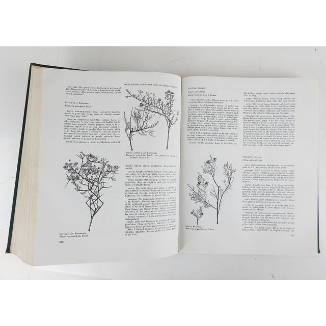 1960 Trees, Shrubs, and Woody Vines of the Southwest Book Chairish