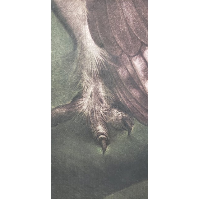 Jack Coutu (1924-2017) "Speckled Owl" Original Pencil Signed Etching C.1968 For Sale - Image 9 of 11