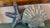 Beaded Seashell and Starfish Pillows, Set of 2 For Sale - Image 12 of 15