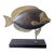1970s Mid-Century Modern Wood and Brass Tropical Fish Sculpture For Sale
