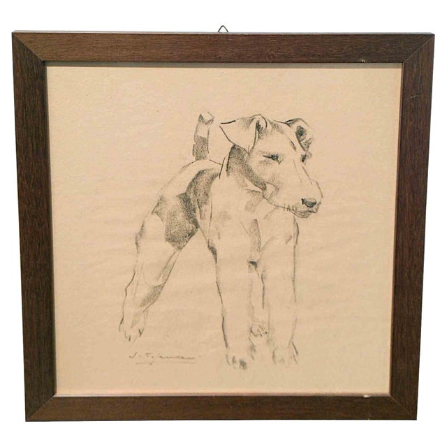 Sirio Tofanari, Fox Terrier (2), Drawing, 1920s For Sale