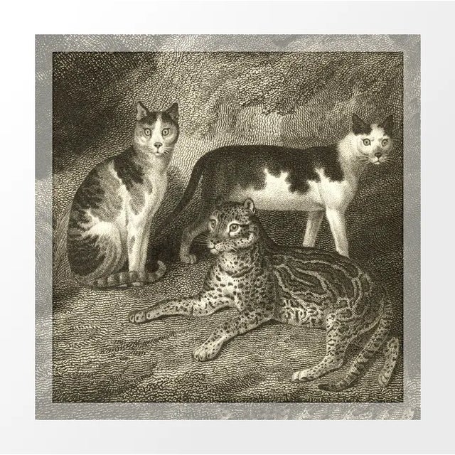 Vintage British Bookplate Print - 3 Cats For Sale