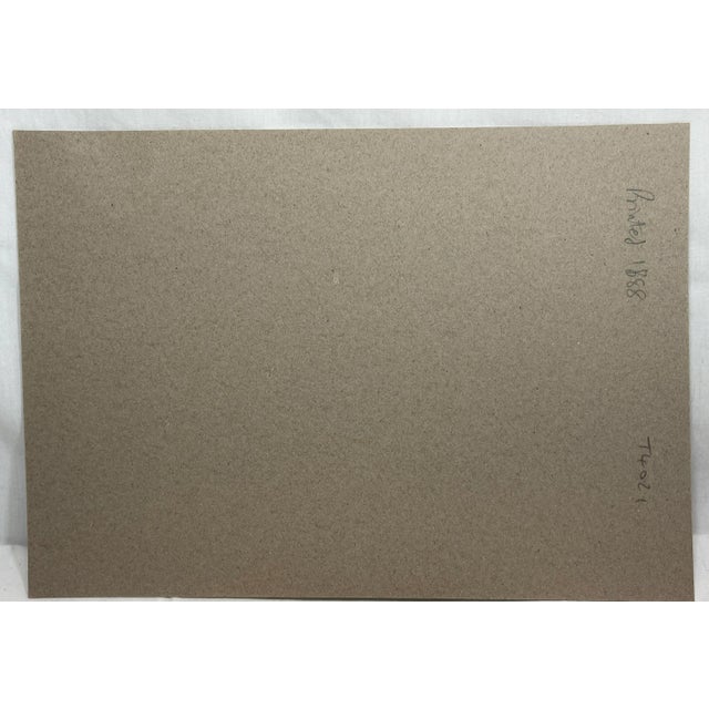 Antique Hand Colored Bird Print From England Showcasing a Snow Bunting - Circa 1888 For Sale - Image 11 of 11