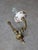 Mid-Century Italian Brass and Ceramic Sconces, Set of 2 For Sale - Image 11 of 13