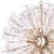 Regina Andrew Poppy Glass Chandelier Large in Clear For Sale - Image 4 of 7