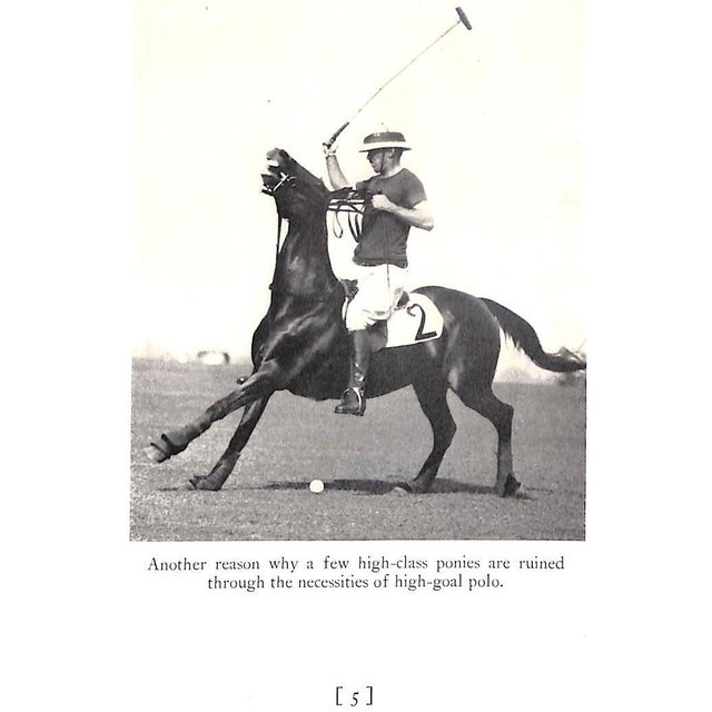 Paper "Selection and Training of the Polo Pony" 1934 Cullum, Grove For Sale - Image 7 of 12