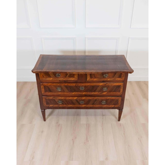 18th Century Emilian Louis XVI Walnut Chest of Drawers For Sale In Atlanta - Image 6 of 8
