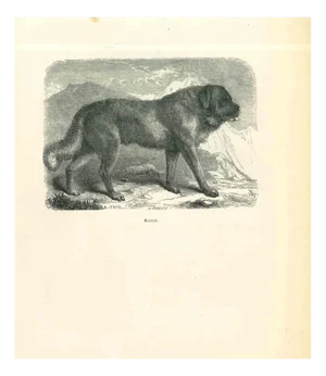 Paul Gervais, The Dog, Lithograph, 1854