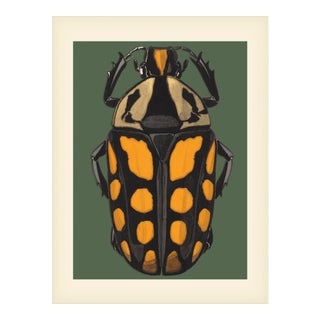 Bugs by Seguy #20 For Sale