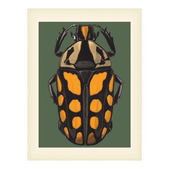 Bugs by Seguy #20 For Sale