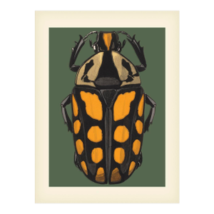 Bugs by Seguy #20