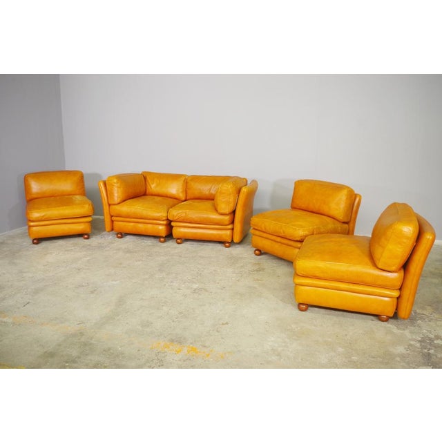 Modular Frau Sofa in Leather, 1970, Set of 5 For Sale - Image 13 of 18